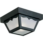 Progress Lighting 1-LIGHT Flush Mount Ceiling Indoor Outdoor Fixture. Fixed Price $40.95.