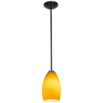 Access Champagne 1-LIGHT Glass Pendant, Rods, Bronze/maya 28012-1R-ORB-MYA. Fixed Price $138.00.