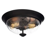 Prominence Home 13 Flush Mount Seeded Ceiling Light, Madalyn, Bronze (open Box). Fixed Price $21.93.