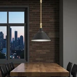 Kohler Varla 24 In Pendant Light Black W Brass Trim 42203-PE01-BML $600 Retail. Fixed Price $189.95.