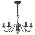Livex Windsor Light Chandelier, Black 52165-04. Fixed Price $229.96.
