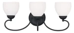 New Livex Brookside 3-LIGHT 23: Black Bath Vanity Wall Fixture 4753-04. Fixed Price $44.99.