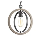 Progress Lighting Conestee Graphite Rustic Globe Medium Hanging Pendant. Fixed Price $127.99.