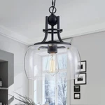 Modern Farmhouse Pendant Light Black Clear Glass Globe Ceiling Fixture 10". Fixed Price $59.99.