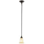 Commercial Electric Rustic Iron 1-LIGHT Mini-pendant. Fixed Price $23.87.