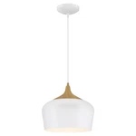 Access Lighting 52057-WH/WGN Blend 12 Inch White Pendant Ceiling. Fixed Price $22.00.