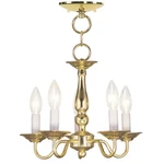 Livex Lighting 5011-02 Williamsburgh Polished Brass Convertible. Fixed Price $199.90.