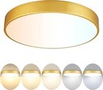 Dimmable Gold Led Flush Mount Light Fixture For Modern Spaces, 15 Inch. Fixed Price $92.99.