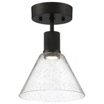 Access Lighting Port Nine Martini Semi-flush, Bk/seed 63146LEDD-MBL-SDG. Fixed Price $146.00.