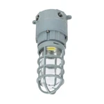Sokply Led Explosion Proof Light 20W 2800LM Dimmable UL844 Class Div Ii IP66. Fixed Price $101.22.