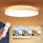 Blnan Dimmable Led Flush Mount Ceiling Light Fixture With Remote Control, 12INCH. Fixed Price $148.97.