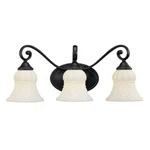 Portfolio 3-LIGHT Vintage Bronze Transitional Vanity. Fixed Price $50.00.