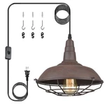 Industrial Plug-in Pendant Light Barn Style Hanging Lamp With Wire Caged Swag.... Fixed Price $92.79.