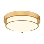 Cargifak 12" Flush Mount Ceiling Fixture, 2-LIGHT Modern Brass Gold. Fixed Price $104.98.