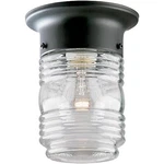 Westinghouse Lighting 6691900 One-light Jelly Jar Porch-light, Matte Black. Fixed Price $17.95.