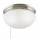 Westinghouse 6721000 2-LIGHT Indoor Flush-mount Ceiling Fixture W/ Pull Chain. Fixed Price $43.21.