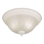 Forte Lighting 2 Flush Mount White - 50074. Fixed Price $18.00.