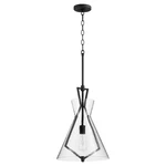 Textured Black One Light From The 8426 Pendants Collection. Fixed Price $419.00.