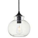 Elegant Lighting LD2245 Destry 8"W Mini Pendant - Black. Fixed Price $80.00.