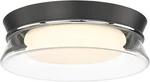 Luminzone Black Glass Chrome Adjustable Color Led Flush Mount Ceiling Light. Fixed Price $49.00.