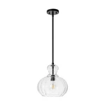 Rennnsan Sheree 1-LIGHT Clear Gourd Glass Kitchen Table Pendant Black Rod. Fixed Price $59.99.