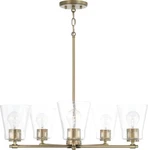 Capital Lighting 446951AD-533 Baker Transitional Tapered Seeded Glass Chandelier. Fixed Price $99.99.