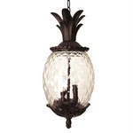 Acclaim 7516BC Lanai Collection 3-LIGHT Outdoor Fixture Hanging Lantern.... Fixed Price $416.07.