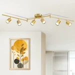 Fondiiz 6 Lighting, Rotatable Heads Tracks Light, Ways, Gold. Fixed Price $83.99.