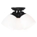Livex Lighting 13664-07 Somerville Bronze Ceiling Mount. Fixed Price $126.90.