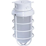 Nuvo Lighting SF76/618 Brentwood Inch White Outdoor Ceiling Mount. Fixed Price $57.99.