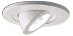 Nora Lighting NL-465W Surface Adjustable Spotlight Recessed. Fixed Price $44.43.