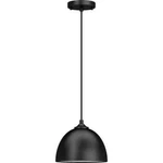 Volume Lighting 1-LIGHT Black Dome Shaded Pendant With Steel. Fixed Price $14.99.