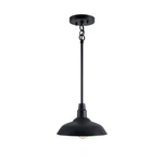 Dale 1-LIGHT Black Mini Pendant By Kenroy Home. Fixed Price $73.90.