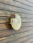 Pair Of Brass Authentic Ceiling Wall Nautical Shiny Finish Deck Light Fixture. Fixed Price $399.00.
