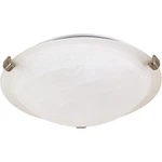 Nuvo Lighting 60/270 Brentwood Flush Mount Brushed Nickel. Fixed Price $59.99.
