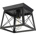Progress Lighting Briarwood 9.5'' Textured Black Incandescent Flush Mount. Fixed Price $51.99.