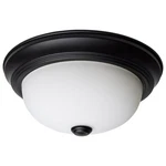 Nuvo 60-127 Round Indoor Fixture 2-LIGHT 11IN Flush Mount Matte Black Opal Glass. Fixed Price $33.99.
