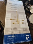 Progress Lighting 6-LIGHT Brushed Gold Shaded Pendant Contemporary. Fixed Price $50.00.