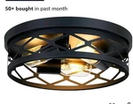 Skejao Flush Mount Ceiling Fixture, 3-LIGHT For.... Fixed Price $19.99.