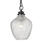 Golden Lighting Adeline Medium Pendant, Black/clear 1088-MBLK-CLR. Fixed Price $159.99.