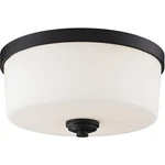 Z-lite 220F3 Arlington Light 13.88 Inch Bronze Flush Mount Ceiling. Fixed Price $91.80.
