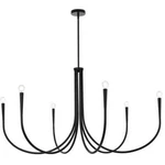 Chandelier Ceiling Light Fixture Farmhouse Large Black Foyer Dining Room 55 Inch. Fixed Price $792.79.