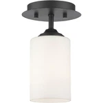 Z-lite 435F1-BRZ Bordeaux Light 5.5 Inch Bronze Flush Mount Ceiling. Fixed Price $44.80.