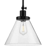 Progress Lighting P500324 Hinton 12"W Pendant - Black. Fixed Price $144.99.