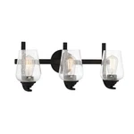 Minka Lavery Shyloh Vanity Light 3 22" Coal Black Bath Fixture. Fixed Price $79.98.