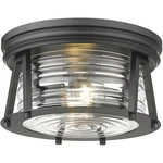 Z-lite 491F2-MB Cape Harbor Flush Mount Matte Black. Fixed Price $175.96.
