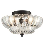 Hydelite Modern Black Ceiling Light Traditional Semi Flush Mount Ligh.... Fixed Price $181.78.