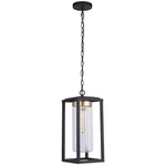 Craftmade ZA4821-MNSB Neo Light Inch Midnight / Satin Brass Outdoor Pendant. Fixed Price $147.20.