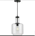 Progress Lighting P500230-031 Pendants Indoor. Fixed Price $29.98.