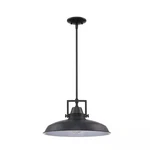 Hampton Bay Wilhelm 16 In. 1-LIGHT Black Industrial Farmhouse Kitchen Pendant.. Fixed Price $30.00.